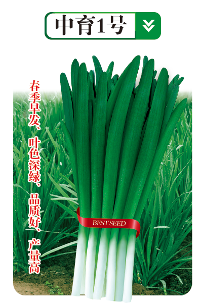 中育1號(hào)