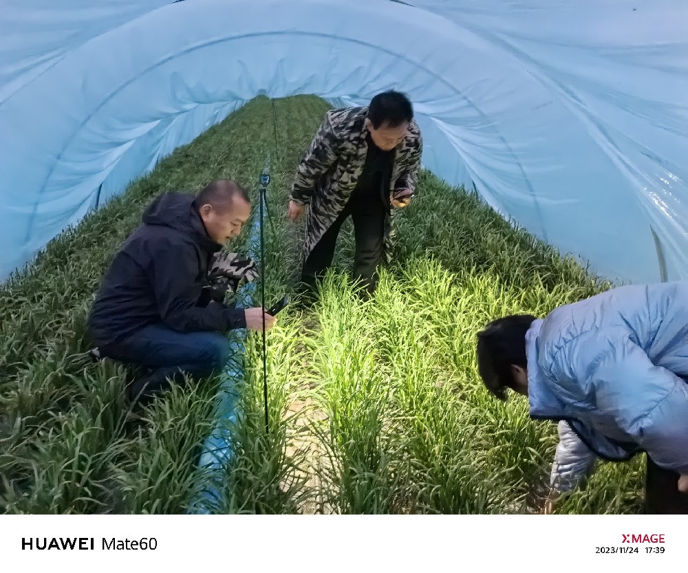陳中府副研究員、姜國霞副研究員到基地指導(dǎo)工作