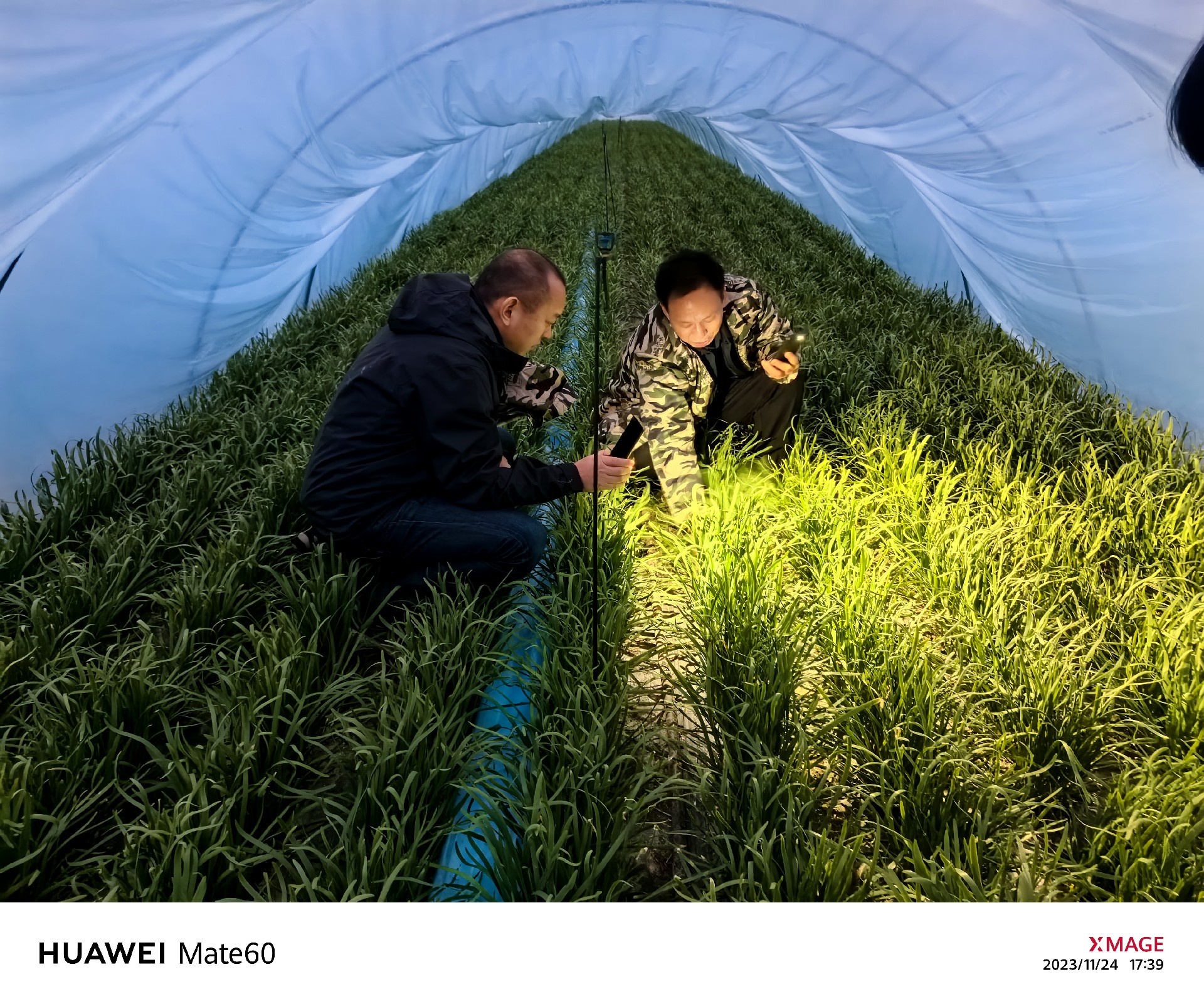 陳中府副研究員、姜國霞副研究員到基地指導(dǎo)工作