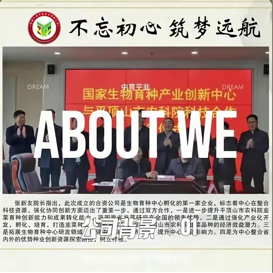 企業(yè)視頻