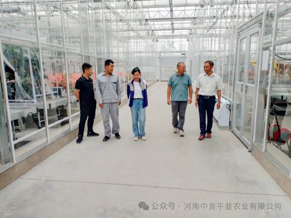 平頂山市農(nóng)業(yè)科學(xué)院專家蒞臨指導(dǎo)田間制種與新品種選育工作