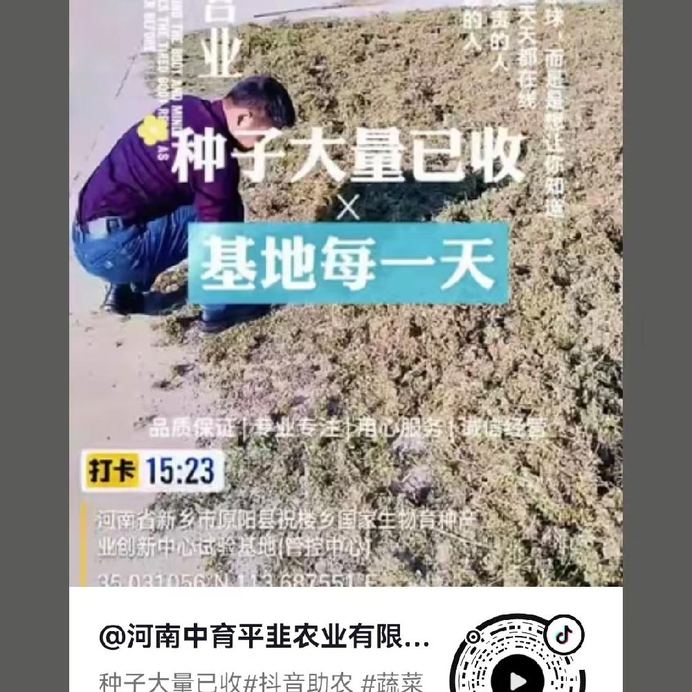 種子大量已收