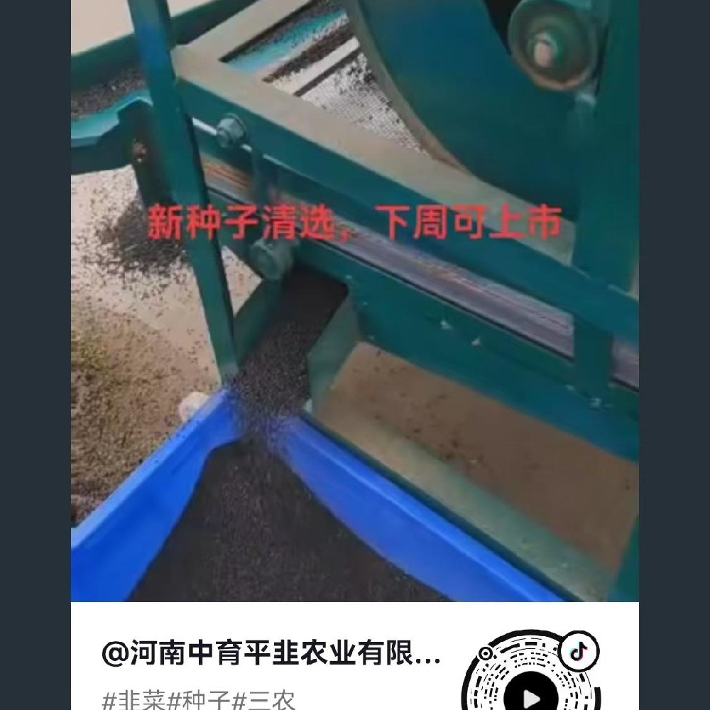 清選