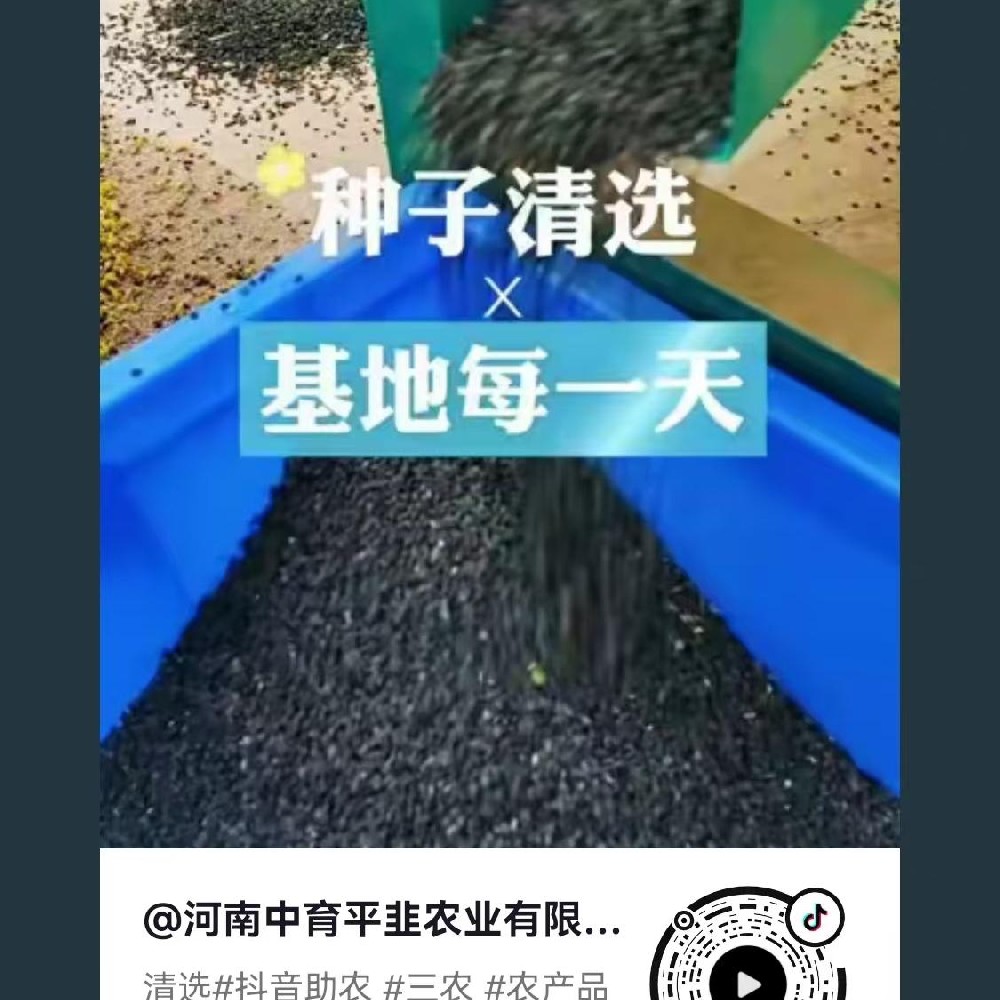 清選