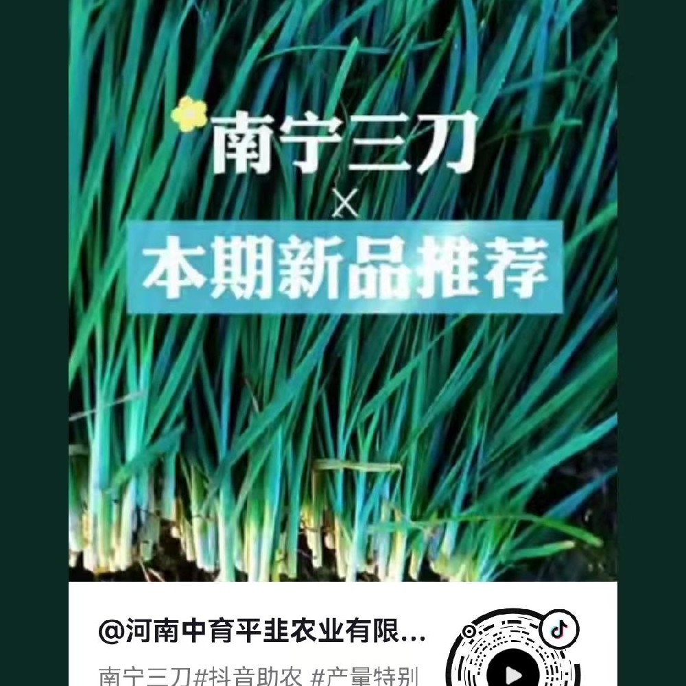 南寧三刀