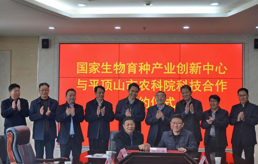 河南中育平韭農(nóng)業(yè)有限公司
